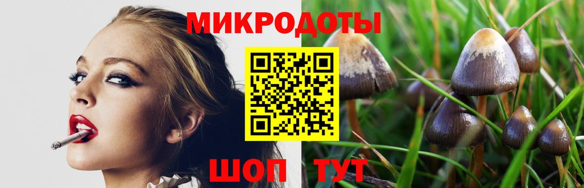где продают   Галлюциногенные грибы Magic Shrooms  Вход с VPN  Галлюциногенные грибы Psilocybine cubensis  Вятские Поляны 